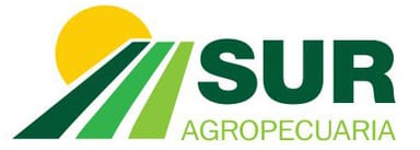 Logo del cliente 4